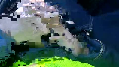 Snapshot of acemcdade chatting on January 2025 01:49:01 PM Ace online show from January 2025 01:49:01 PM