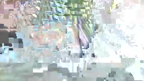 acexx8124 online show from February 2026 02:14:01 PM