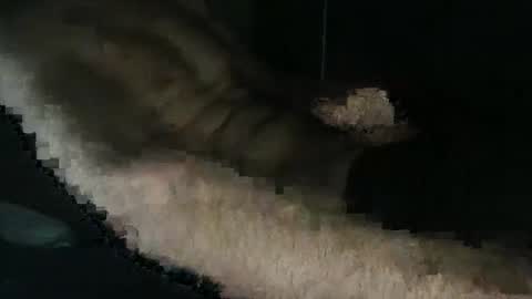 Snapshot of acid_lab chatting on December 2024 02:27:01 PM acid_lab online show from December 2024 02:27:01 PM