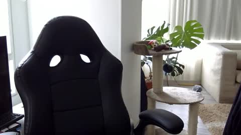 Snapshot of adam_evehotroom chatting on October 2025 08:20:02 PM adam_evehotroom online show from October 2025 08:20:02 PM