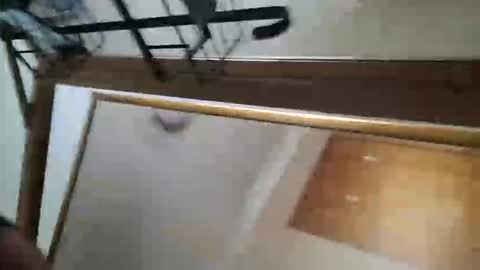 Snapshot of adamlucas54321s773712 chatting on October 2025 01:36:02 AM adamlucas54321s773712 online show from October 2025 01:36:02 AM