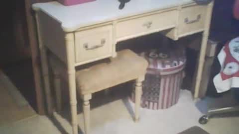 Snapshot of adamsny chatting on February 2025 07:56:02 AM adamsny online show from February 2025 07:56:02 AM