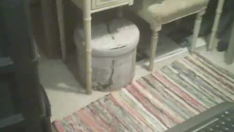 Snapshot of adamsny chatting on November 2025 08:46:01 AM adamsny online show from November 2025 08:46:01 AM