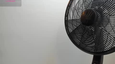 Snapshot of adbel_sady chatting on October 2025 11:14:02 AM adbel sady online show from October 2025 11:14:02 AM