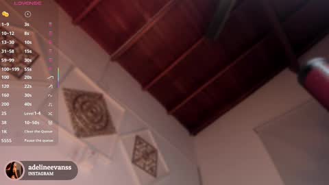 Snapshot of adelineevanss chatting on March 2025 10:13:02 AM adeline online show from March 2025 10:13:02 AM