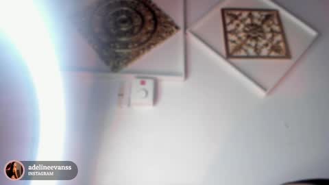Snapshot of adelineevanss chatting on March 2025 04:02:02 AM adeline online show from March 2025 04:02:02 AM
