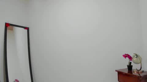 Snapshot of afrodita3123 chatting on February 2026 02:47:02 PM Lorena online show from February 2026 02:47:02 PM