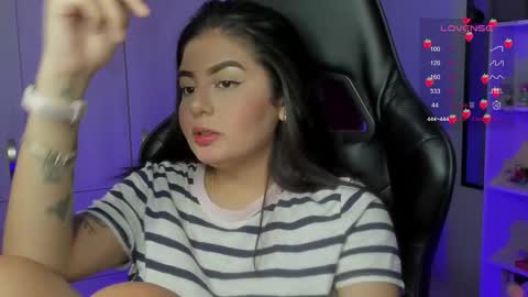 Cat online show from October 2025 05:48:01 AM