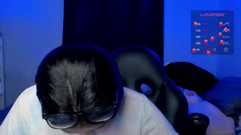 Cat online show from January 2026 05:42:01 AM