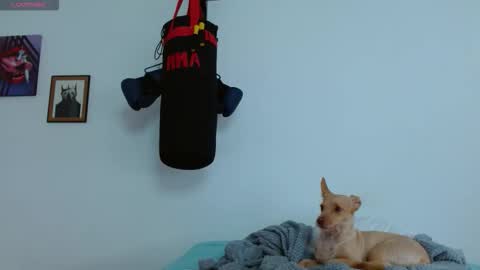 Snapshot of agness_6 chatting on October 2025 06:08:02 PM Agness online show from October 2025 06:08:02 PM