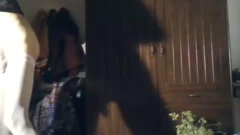 agua online show from November 2025 11:04:02 PM