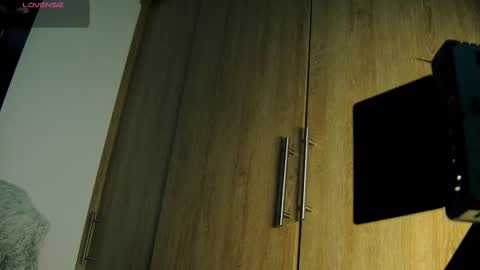 Aida  online show from November 2025 09:42:01 AM