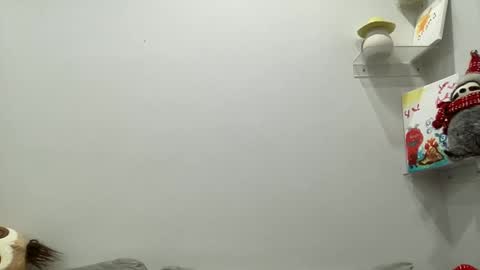 Aile online show from December 2024 03:54:02 AM