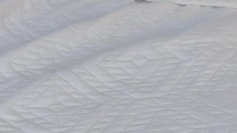   online show from March 2025 08:38:02 PM