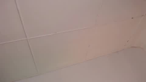 AIXA  online show from December 2024 11:25:01 PM