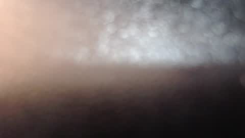 AIXA  online show from June 2026 12:04:02 PM