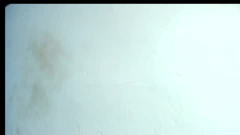 alahia66 online show from April 2026 02:56:01 PM