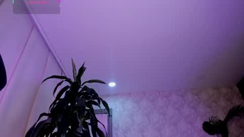 alaiaguerra online show from May 2026 08:06:01 PM
