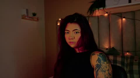  Alaia  online show from December 2025 11:40:02 AM