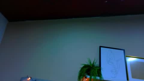  Alaia  online show from January 2026 11:34:02 AM