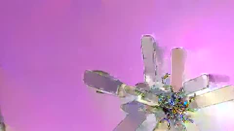 Tom online show from January 2025 07:48:01 AM