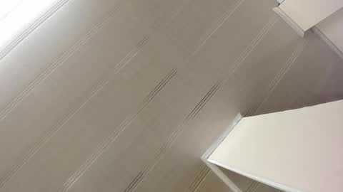 Snapshot of alana_madison chatting on January 2025 10:54:01 AM Maeve online show from January 2025 10:54:01 AM