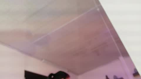 Maeve  online show from February 2026 11:20:01 AM