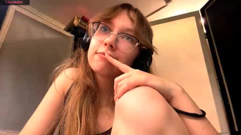 Stella online show from November 2025 03:23:02 PM