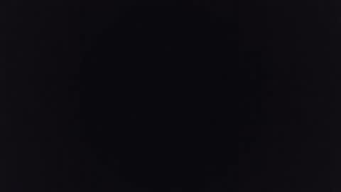 Albert online show from December 2024 11:51:01 PM