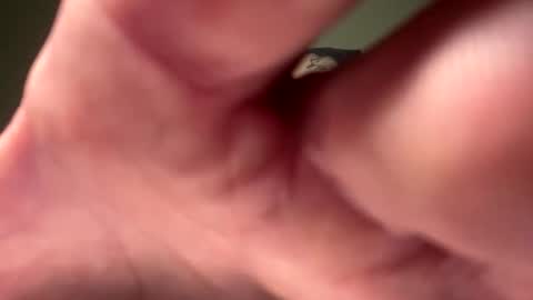 alcapone33245 online show from February 2026 01:15:01 PM