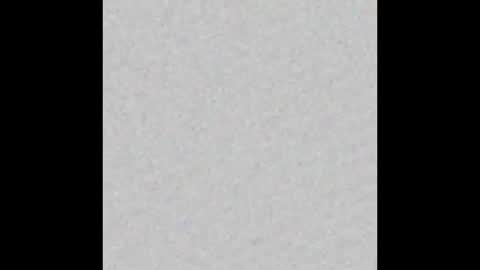 aleec_nyx online show from November 2025 11:47:01 AM