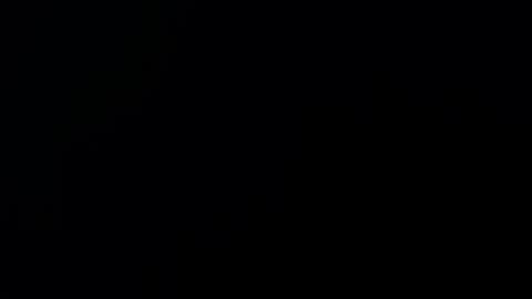   online show from January 2025 04:02:01 PM
