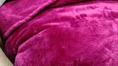 alessandrodmv online show from June 2026 10:05:02 AM