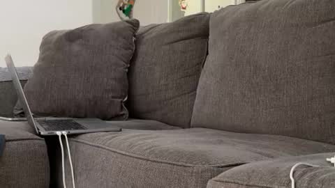 Alex online show from November 2025 06:53:02 PM