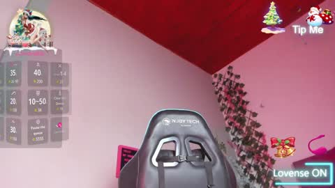 Dani online show from December 2024 10:12:01 AM