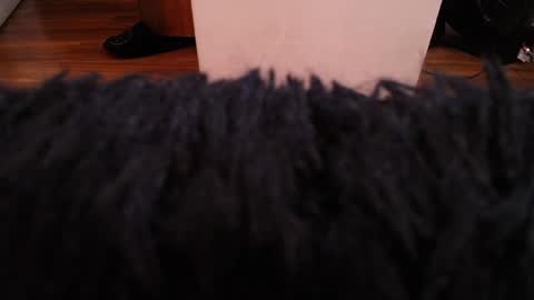 Alexa Moon online show from December 2024 03:58:01 AM