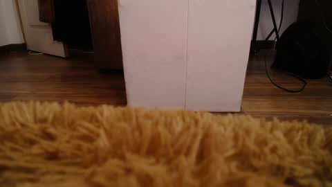 Alexa Moon online show from December 2024 05:44:01 PM