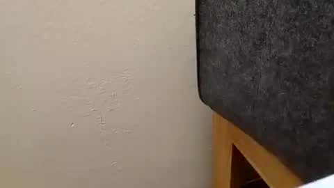 Snapshot of alexanderhub01 chatting on October 2025 01:53:01 PM alexanderhub01 online show from October 2025 01:53:01 PM