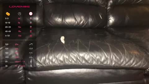 Alex  John online show from December 2024 05:14:02 AM