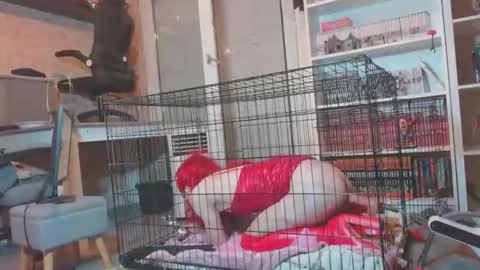 alexas_owned_bitch online show from May 2026 10:29:01 PM