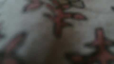 alexboy36 online show from May 2026 11:31:02 AM