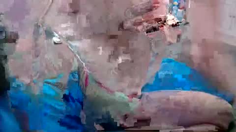 Snapshot of alexfresh84 chatting on December 2024 06:52:01 PM Doggystyle online show from December 2024 06:52:01 PM