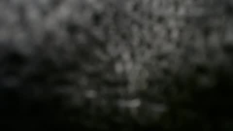 Snapshot of alexfresh84 chatting on March 2025 12:11:02 AM Doggystyle online show from March 2025 12:11:02 AM