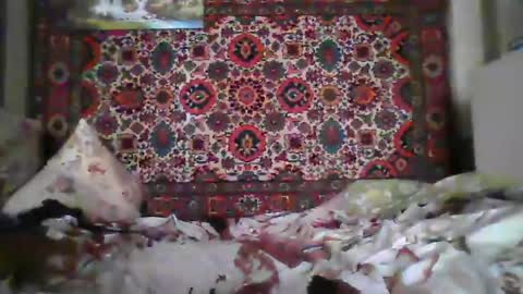 Snapshot of alferezsolvajo chatting on July 2026 07:11:02 AM alferezsolvajo online show from July 2026 07:11:02 AM