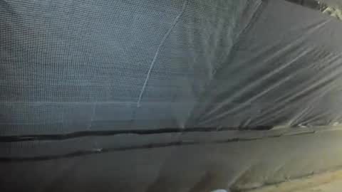 alfiesolomons87 online show from October 2025 12:12:02 PM