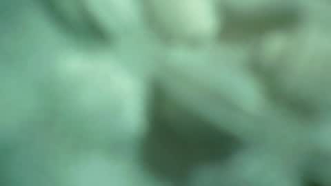 ali_asianguyuk online show from December 2025 01:32:01 AM