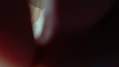 Snapshot of alice_peach chatting on November 2025 06:02:02 AM bigclit daddy squirt bigdildo fit online show from November 2025 06:02:02 AM