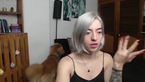 alicee_logan_ online show from February 2026 02:34:02 AM