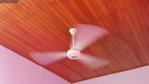 Snapshot of alicekiing_ chatting on December 2025 03:00:02 AM ALICEKIING online show from December 2025 03:00:02 AM