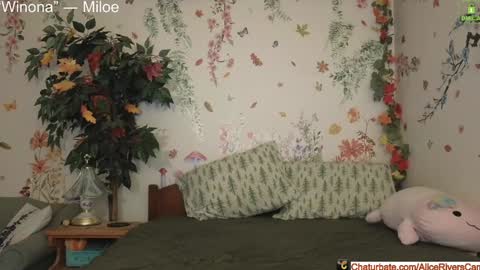 Snapshot of aliceriverscam chatting on December 2024 09:16:01 PM Alice Rivers ---- Enter my public Discord- online show from December 2024 09:16:01 PM